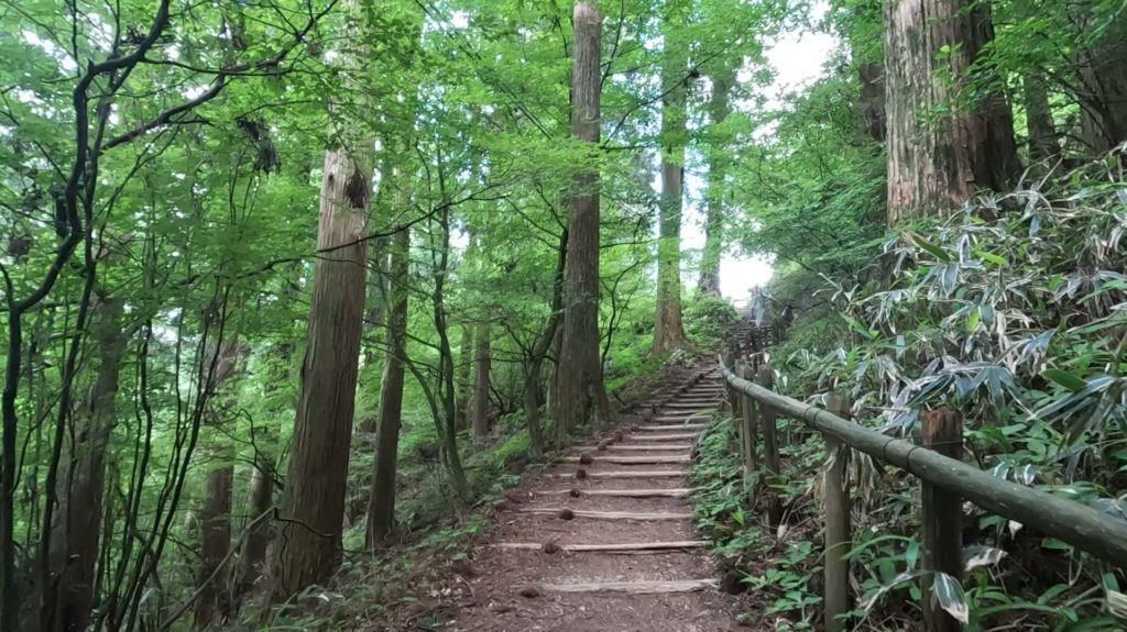 金剛山　９合目　近道