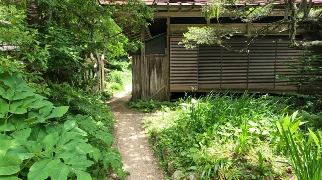 大日岳への入口