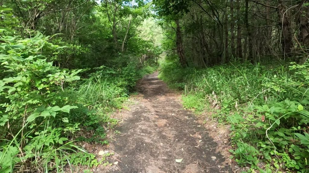東の原登山口　登山道