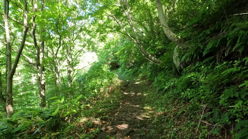 女三瓶山への登山道