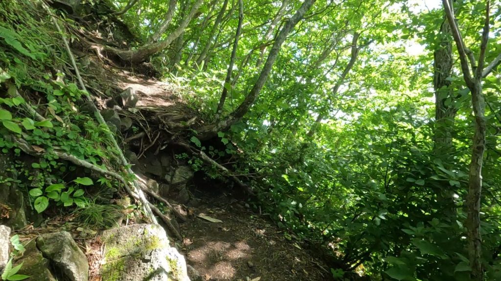 男三瓶山　急登