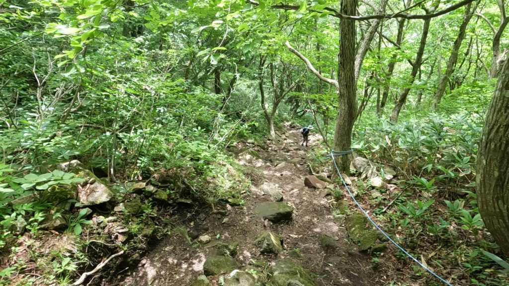 男三瓶山ぁら子三瓶山の急登