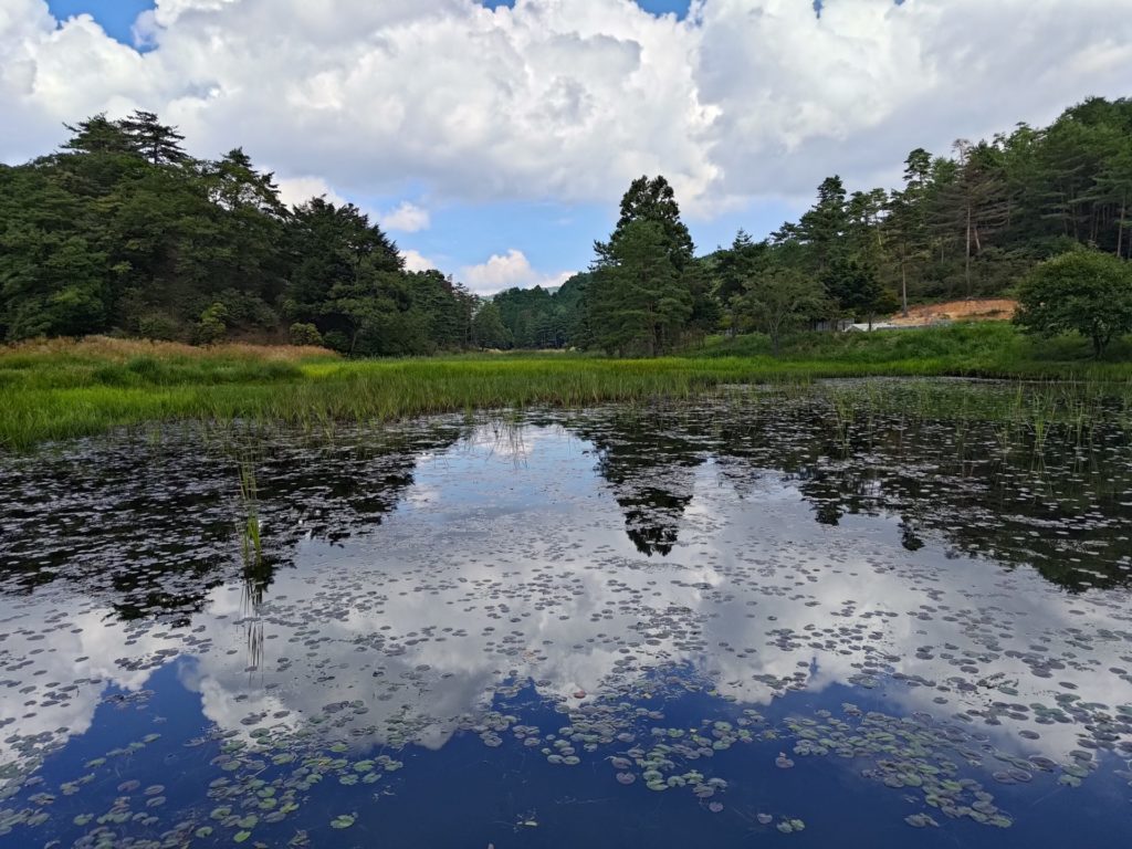 夏の空と湿原の池