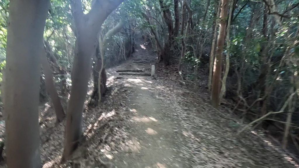 先山千光寺　登山道後半