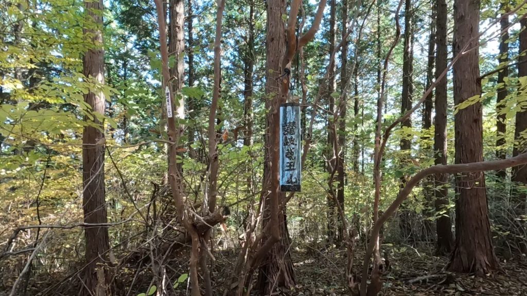 讃岐竜王山山頂