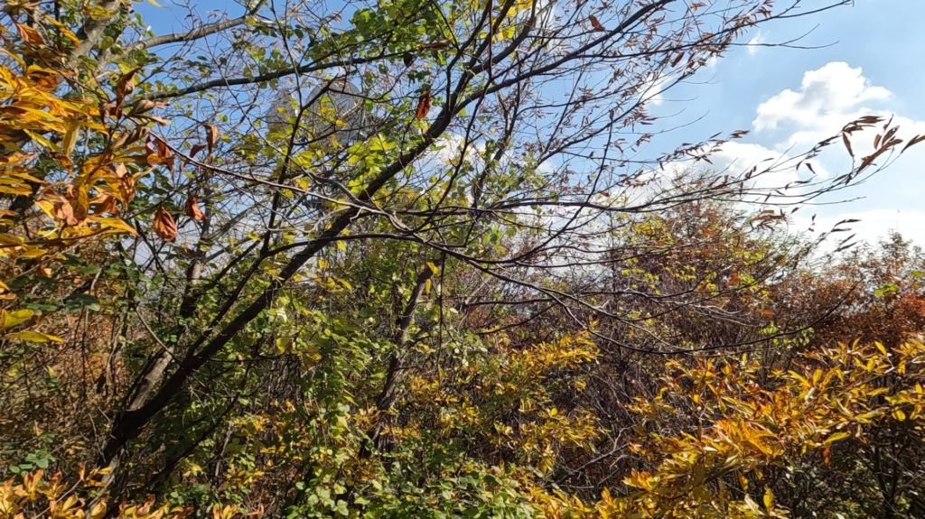 2025年　秋　阿波竜王山から徳島方面の眺め