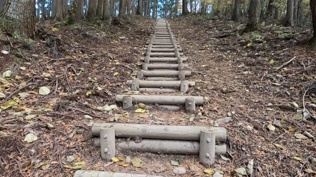 讃岐竜王山から阿波竜王山までの尾根道。
2025年秋
